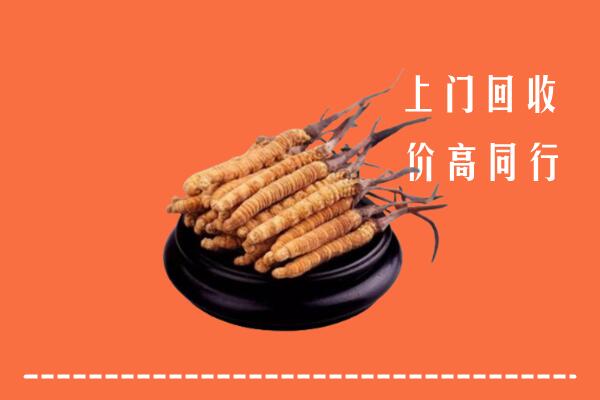 高价求购：乌兰察布卓资县回收散虫草