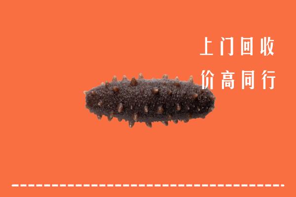 乌兰察布卓资县回收海参